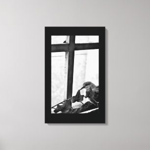 Tranquil Dove Canvas Print