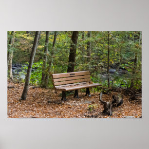 Tranquil Forest Bench in Autumn Poster
