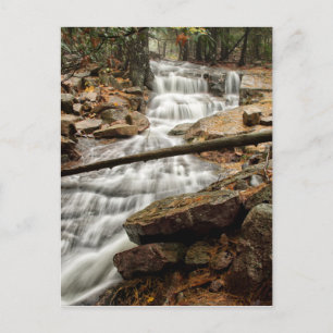 Tranquil Forest Waterfall Postcard