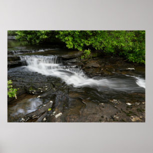 Tranquil Forest Waterfall Poster