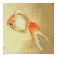 Tranquil Japanese Goldfish