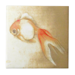 Tranquil Japanese Goldfish Tile