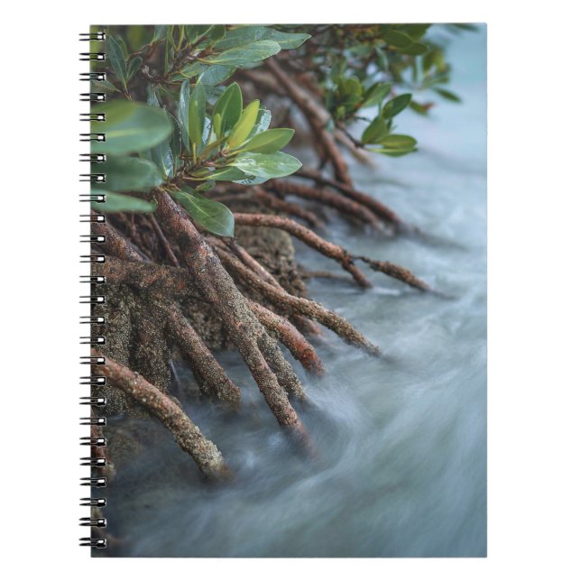 Tranquil Mangrove Roots Ocean Notebook (Front)