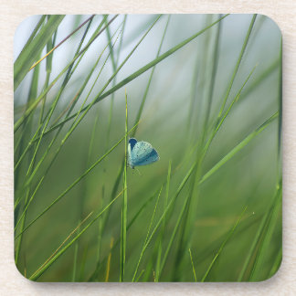Tranquil Nature Scene Blue Butterfly Hard Plastic Coaster