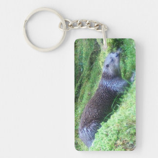 Tranquil Otter Riverside Scene Nature Inspired Key Ring