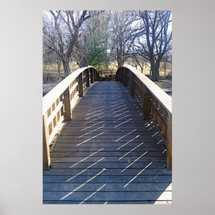 Tranquil Park Bridge Photographic Print