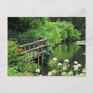 Tranquil Postcard