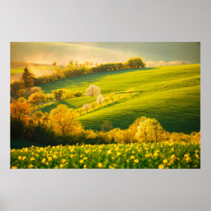 Tranquil rural landscape in sunbeams. Beautiful su Poster