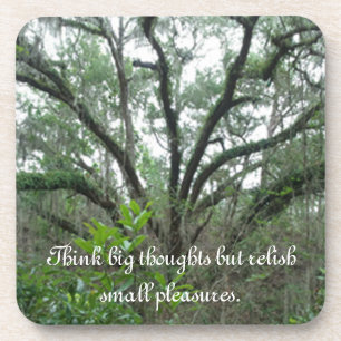 Tranquil Tree Coasters