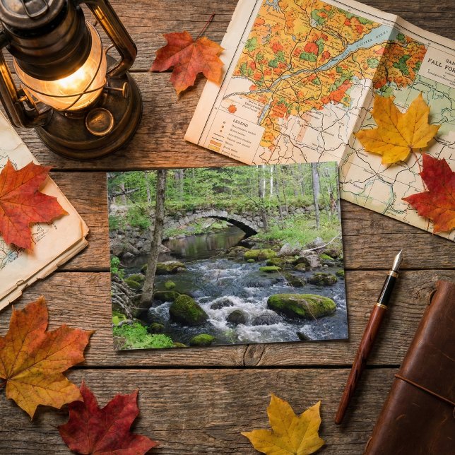 Tranquil Waters: Gleason Falls Road Bridge Postcard (Creator Uploaded)