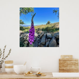 Tranquility of English countryside Poster