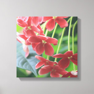 Tranquillity Canvas Print