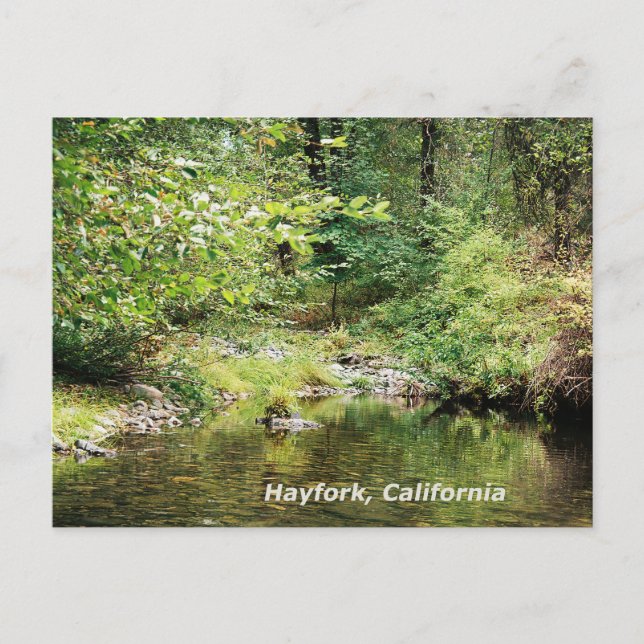 Tranquillity in the woods....... postcard (Front)