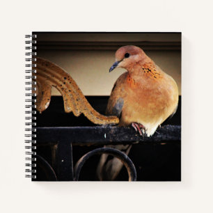Tranquillity notebook