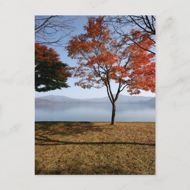 Tranquillity Postcard (Front)