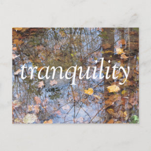 Tranquillity Postcard
