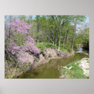 Tranquillity Poster