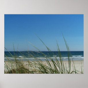 Tranquillity Poster