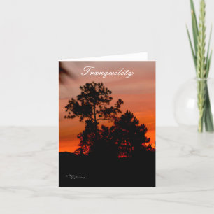 Tranquillity sunset Pine trees Note Card