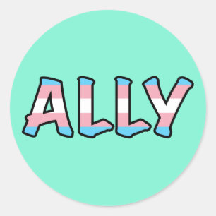 Trans Ally   Mint Background    Classic Round Sticker