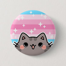 Trans Feminine LGBT Pride Flag Cat Button