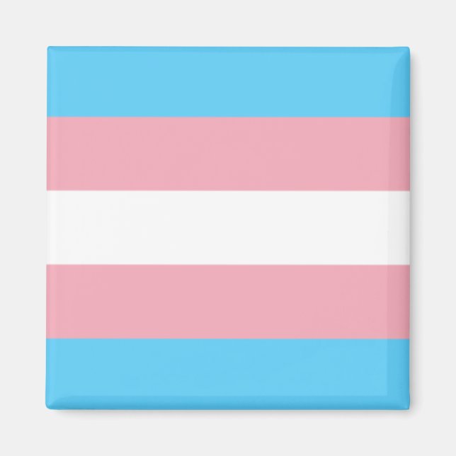 Trans Flag Magnet (Front)