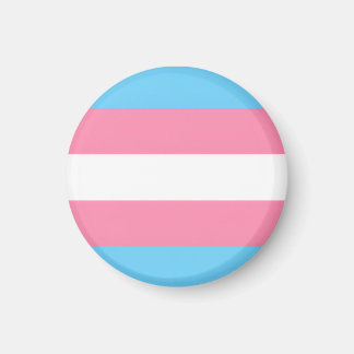 trans flag on magnet
