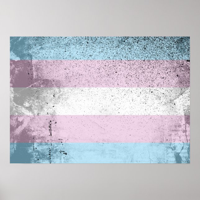 TRANS FLAG ORIGINAL -.png Poster (Front)