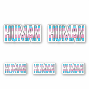 Trans Human