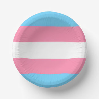trans paper plate party decor