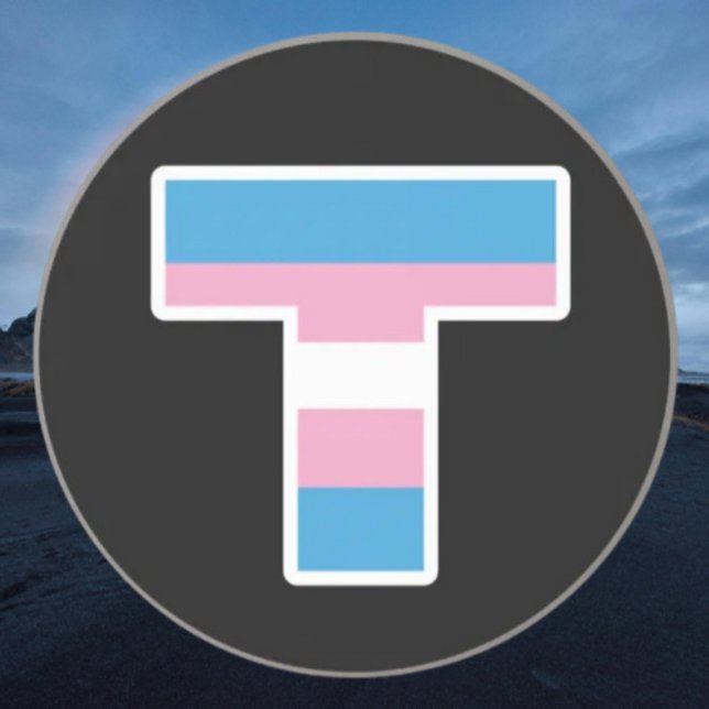 Trans Pride Capital T Sandstone Coaster (Creator Uploaded)