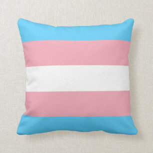 Trans pride cushion