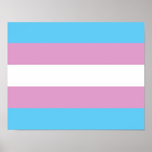 Trans Pride Flag - (2) Poster (Front)