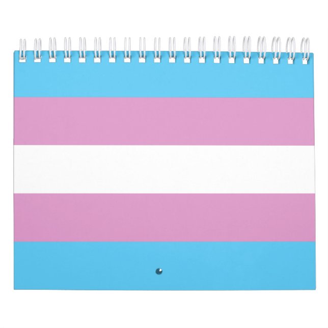Trans Pride Flag Calendar (Cover)