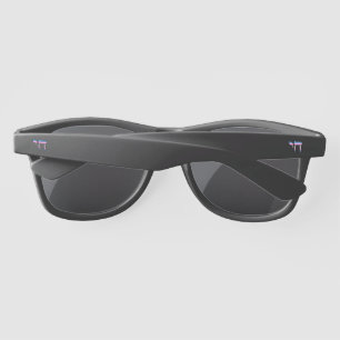 Trans Pride Flag Chai Sunglasses