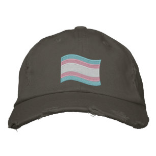 Trans Pride Flag Embroidered Hat
