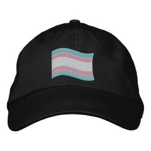 Trans Pride Flag Embroidered Hat