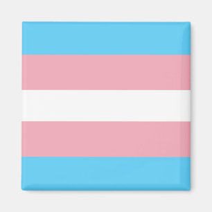 Trans Pride Flag Magnet