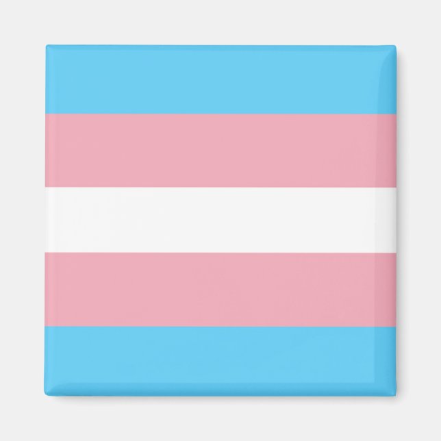 Trans Pride Flag Magnet (Front)