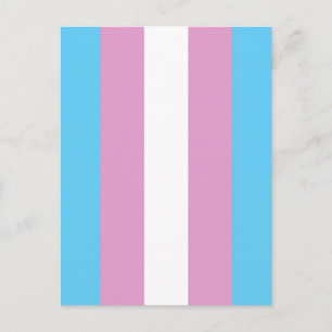 Trans Pride Flag Postcard