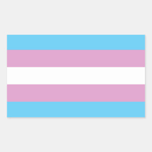 Trans Pride Flag Rectangular Sticker