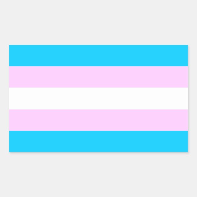 Trans pride flag stickers (Front)
