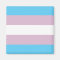 Trans Pride magnet