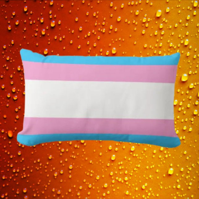 Trans Pride Support Lumbar Cushion (Creator Uploaded)