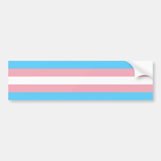 Trans Pride (Transgender Pride) Flag Bumper Sticker (Front)