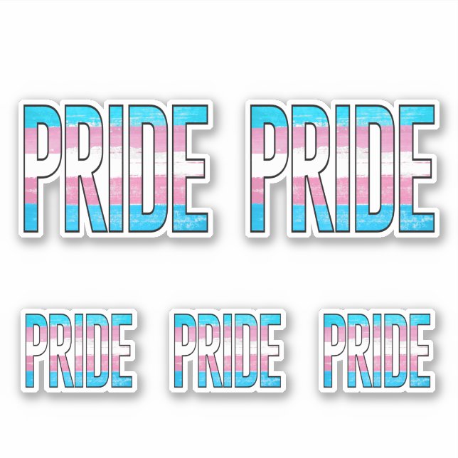 Trans Pride Word (Front)