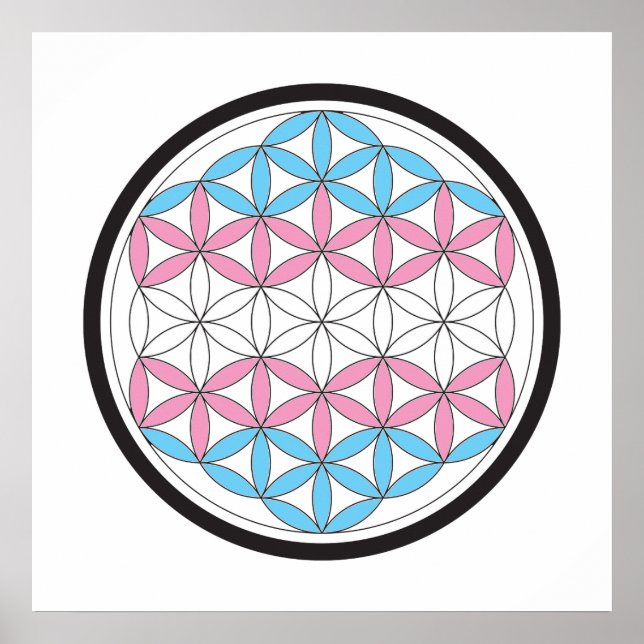 trans sacred geometry poster (Front)