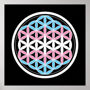 tranSacred geometry Poster
