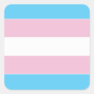 Transexual Pride Flag Square Sticker