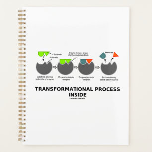 Transformational Process Inside Enzyme Substrate Planner